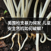 美国枪支暴力频发 儿童安全危机如何破解？(图1)