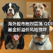海外股市剧烈震荡 QDII基金折溢价风险骤降(图2)