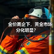金价高企下,黄金市场分化明显?(图3) 金价高企下,黄金市场分化明显?(图3)
