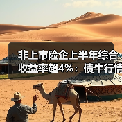 非上市险企上半年综合收益率超4%:债牛行情如何驱动投资增长?(图3) 非上市险企上半年综合收益率超4%:债牛行情如何驱动投资增长?(图3)