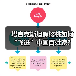 塔吉克斯坦黑樱桃如何“飞进”中国百姓家?(图4) 塔吉克斯坦黑樱桃如何“飞进”中国百姓家?(图4)
