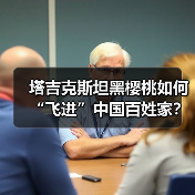 塔吉克斯坦黑樱桃如何“飞进”中国百姓家?(图2) 塔吉克斯坦黑樱桃如何“飞进”中国百姓家?(图2)