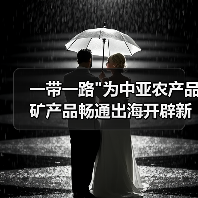 一带一路 一带一路为中亚农产品矿产品畅通出海开辟新通道(图4)