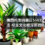 美国枪支销量近550万支 枪支文化根深蒂固现象解析(图3) 美国枪支销量近550万支 枪支文化根深蒂固现象解析(图3)