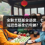 金融主题基金逆袭，七成混合基金仍亏损？7 - 玄熵百博咨询