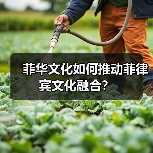 菲华文化如何推动菲律宾文化融合?(图4) 菲华文化如何推动菲律宾文化融合?(图4)