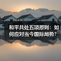 和平共处五项原则：如何应对当今国际局势？(图1)