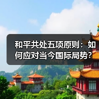 和平共处五项原则：如何应对当今国际局势？(图4)