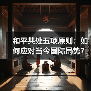 和平共处五项原则：如何应对当今国际局势？(图3)
