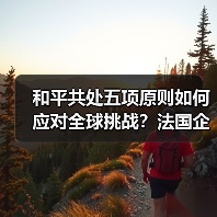 和平共处五项原则如何应对全球挑战?法国企业家见解(图4) 和平共处五项原则如何应对全球挑战?法国企业家见解(图4)