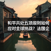 和平共处五项原则如何应对全球挑战?法国企业家见解(图2) 和平共处五项原则如何应对全球挑战?法国企业家见解(图2)