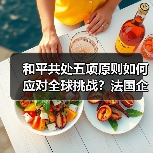 和平共处五项原则如何应对全球挑战？法国企 - 玄熵百博咨询