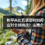 和平共处五项原则如何应对全球挑战?法国企业家见解(图3) 和平共处五项原则如何应对全球挑战?法国企业家见解(图3)