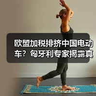 欧盟加税排挤中国电动车?匈牙利专家揭露真实动机(图3) 欧盟加税排挤中国电动车?匈牙利专家揭露真实动机(图3)