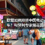 欧盟加税排挤中国电动车?匈牙利专家揭露真实动机(图4) 欧盟加税排挤中国电动车?匈牙利专家揭露真实动机(图4)