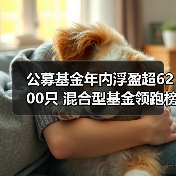 公募基金年内浮盈超6200只 混合型基金 - 玄熵百博咨询