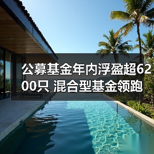 公募基金年内浮盈超6200只 混合型基金领跑榜单(图3)