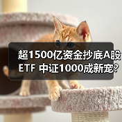 超1500亿资金抄底A股ETF 中证1000成新宠？(图4)