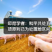印尼学者:和平共处五项原则已为处理地区问题给出指引(图3) 印尼学者:和平共处五项原则已为处理地区问题给出指引(图3)