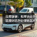 印尼学者:和平共处五项原则已为处理地区问题给出指引(图4) 印尼学者:和平共处五项原则已为处理地区问题给出指引(图4)