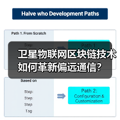 卫星物联网区块链技术如何革新偏远通信?(图3) 卫星物联网区块链技术如何革新偏远通信?(图3)