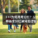 ETF为何月月分红?公募基金分红潮背后逻辑解析(图3) ETF为何月月分红?公募基金分红潮背后逻辑解析(图3)