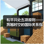 和平共处五项原则——跨越时空的国际关系指南(图4) 和平共处五项原则——跨越时空的国际关系指南(图4)