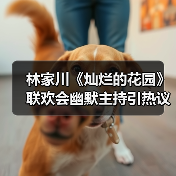 林家川《灿烂的花园》联欢会幽默主持引热议 - 玄熵百博咨询