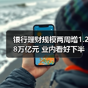 银行理财规模两周增1.28万亿元 业内看好下半年冲击31万亿元关口(图4) 银行理财规模两周增1.28万亿元 业内看好下半年冲击31万亿元关口(图4)