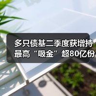 多只债基二季度获增持 最高“吸金”超80亿份(图4)