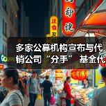 多家公募机构宣布与代销公司“分手” 基金 - 玄熵百博咨询