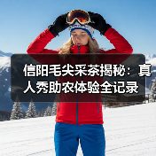 信阳毛尖采茶揭秘：真人秀助农体验全记录(图4)