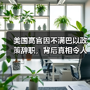 美国高官因不满巴以政策辞职,背后真相令人深思(图3) 美国官员因巴以冲突辞职引关注,背后原因令人深思-玄熵百博咨询(图3)