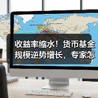 收益率缩水！货币基金规模逆势增长，专家怎 - 玄熵百博咨询