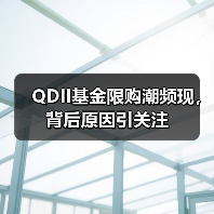 QDII基金限购潮频现，背后原因引关注 - 玄熵百博咨询