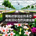 哥斯达黎加总统表态:中哥深化合作共促发展(图4) 哥斯达黎加总统表态:中哥深化合作共促发展(图4)