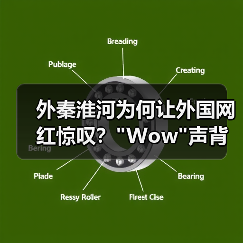 外秦淮河为何让外国网红惊叹? 外秦淮河为何让外国网红惊叹?Wow声背后的南京文化密码(图3)