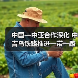 中国—中亚合作深化 中吉乌铁路推进一带一路成果(图1) 中国—中亚合作深化 中吉乌铁路推进一带一路成果(图1)