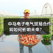 中马电子电气贸易合作将如何影响未来？ - 玄熵百博咨询