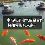 中马电子电气贸易合作将如何影响未来?(图2) 中马电子电气贸易合作将如何影响未来?(图2)