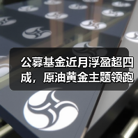 公募基金近月浮盈超四成，原油黄金主题领跑(图3)