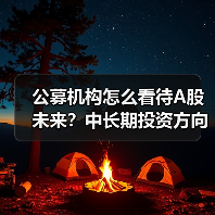 公募机构怎么看待A股未来?中长期投资方向大揭秘(图2) 公募机构怎么看待A股未来?中长期投资方向大揭秘(图2)