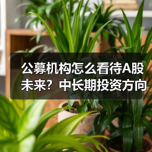 公募机构怎么看待A股未来？中长期投资方向 - 玄熵百博咨询