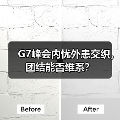 G7峰会内忧外患交织，团结能否维系？(图4)
