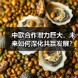 中欧合作潜力巨大，未来如何深化共赢发展？ - 玄熵百博咨询