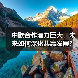 中欧合作潜力巨大,未来如何深化共赢发展?(图3) 中欧合作潜力巨大,未来如何深化共赢发展?(图3)