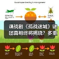 谍战剧《孤战迷城》谜团真相终将揭晓?多重反转引猜测(图2) 谍战剧《孤战迷城》如何用反转剧情引爆追剧热潮?-玄熵百博咨询(图2)