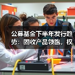 公募基金下半年发行趋势:固收产品领跑,权益布局冷热不均?(图3) 2024上半年基金发行:债券型占比超八成,下半年布局方向曝光-玄熵百博咨询(图3)