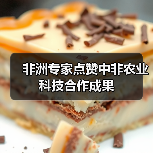 非洲专家点赞中非农业科技合作成果(图1) 中非农业科技合作如何助力非洲农业现代化?-玄熵百博咨询(图1)