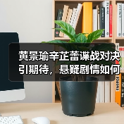 黄景瑜辛芷蕾谍战对决引期待，悬疑剧情如何颠覆传统？(图4)
